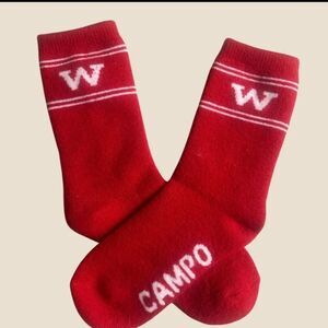 3193 W Crew Sock - Alpaca Socks
